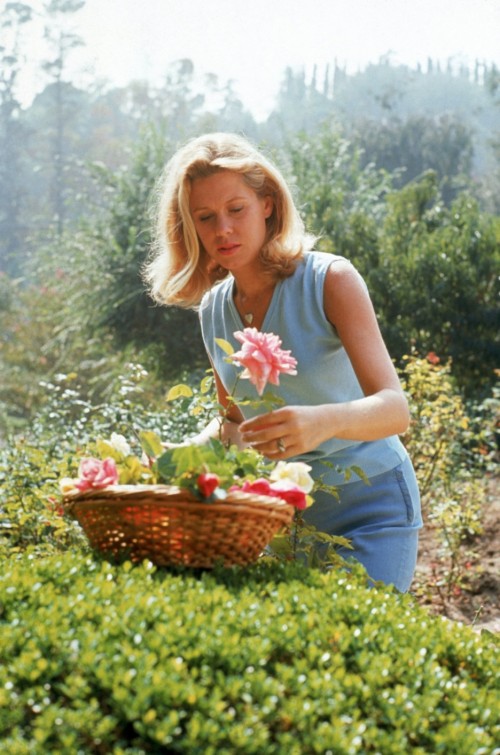 Elizabeth Montgomery 925full