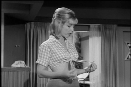 barbaraedenBurkeslawS1.wmv snapshot 01.52 [2012.02.29 05.42.31]